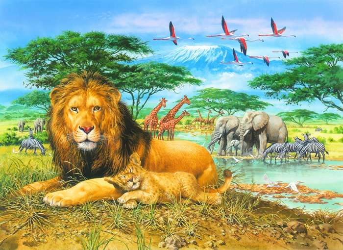 Kilimanjaro Lion (36pc Puzzle)