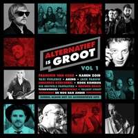 Alternatief is Groot (2CD)