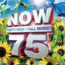 Now that's what I call Music Vol. 75 (CD)