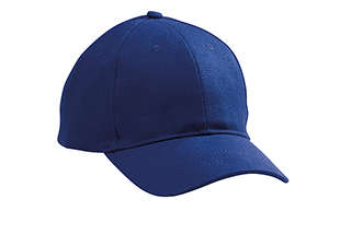 Altitude Pro Basic peak - royal blue