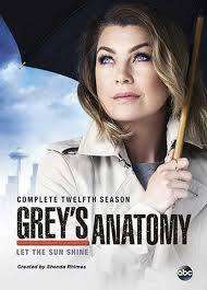 Greys Anatomy - Season 12 (DVD Box Set)