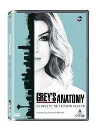Greys Anatomy - Season 13 (DVD Box Set)