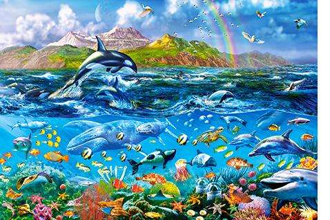 Ocean panorama (1000pc Puzzle)