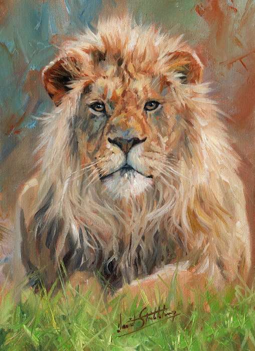Lion Portrait (1500pc Puzzle)