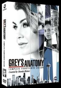 Grey's Anatomy - Season 14 (DVD Box Set)