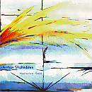 Suburban Shakedown: Measuring Peace (CD) - used