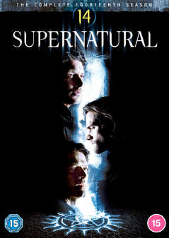 Supernatural - Season 14 (DVD Box Set)