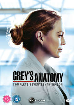 Greys Anatomy - Season 17 (DVD)
