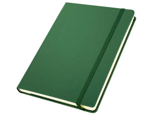 Flexi Notebook - green (ST331IA5)