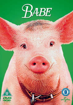 Babe (DVD)