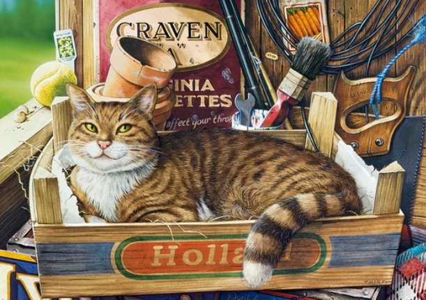 Fothergill (500 Piece Puzzle)