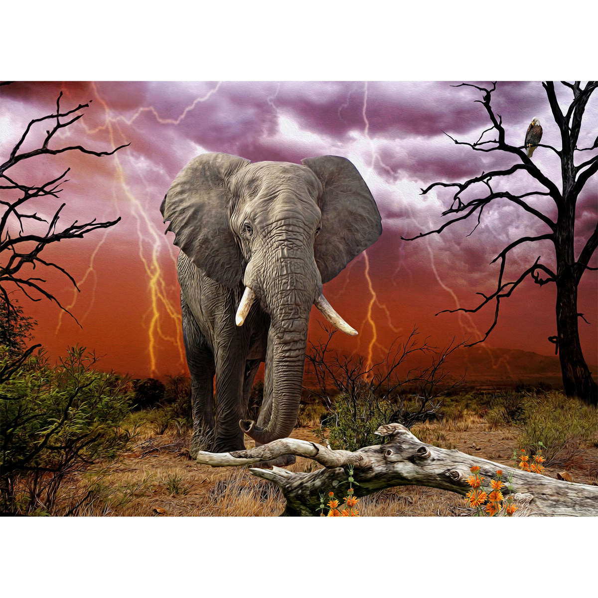 Jarva Lightning Storm (1500 Piece Puzzle)