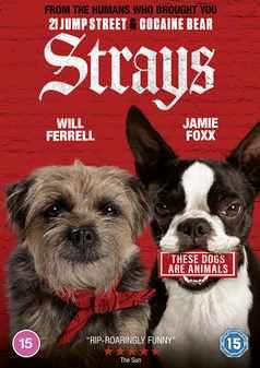 Strays (DVD)