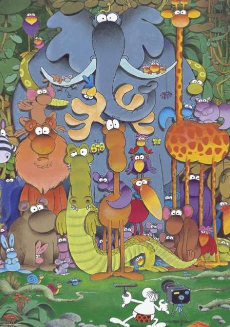 Photo (1000 Piece Puzzle)