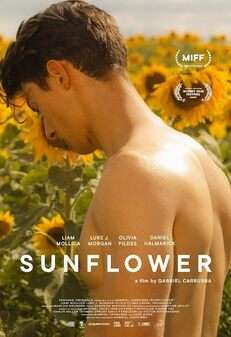 Sunflower (DVD)