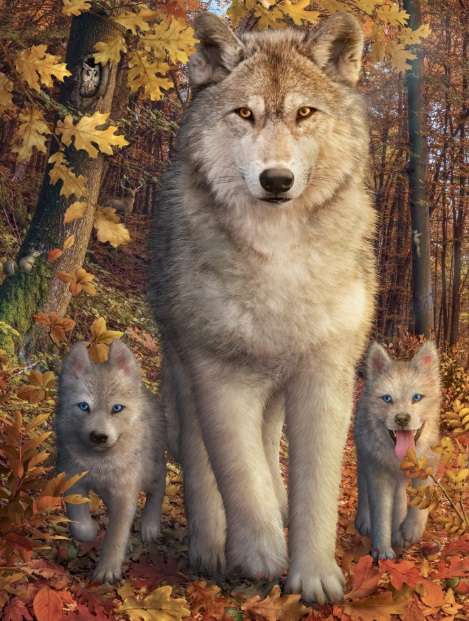 Forest Wolves (1500 Piece Puzzle)