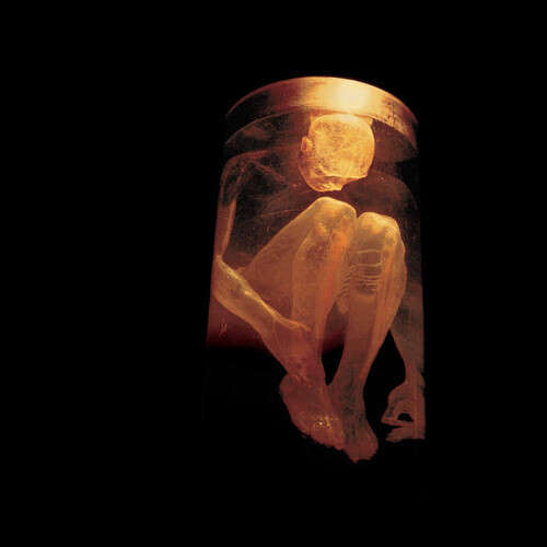 Alice in Chains: Nothing Safe - Best Of (CD)