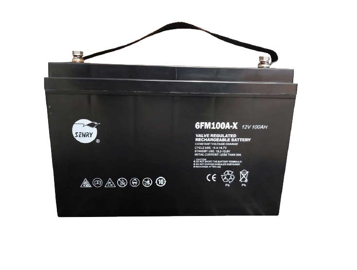 SENRY Deep Cycle 100Ah 12V Fully Sealed AGM  Technology Model: 6FM100A-X 2 Year warranty, Free