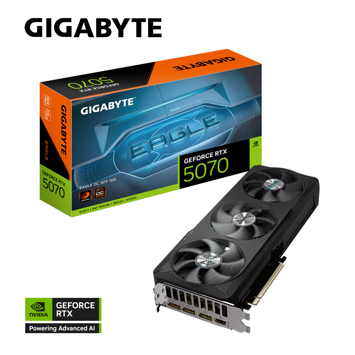 Gb 5070 Eagle Oc 12G d7