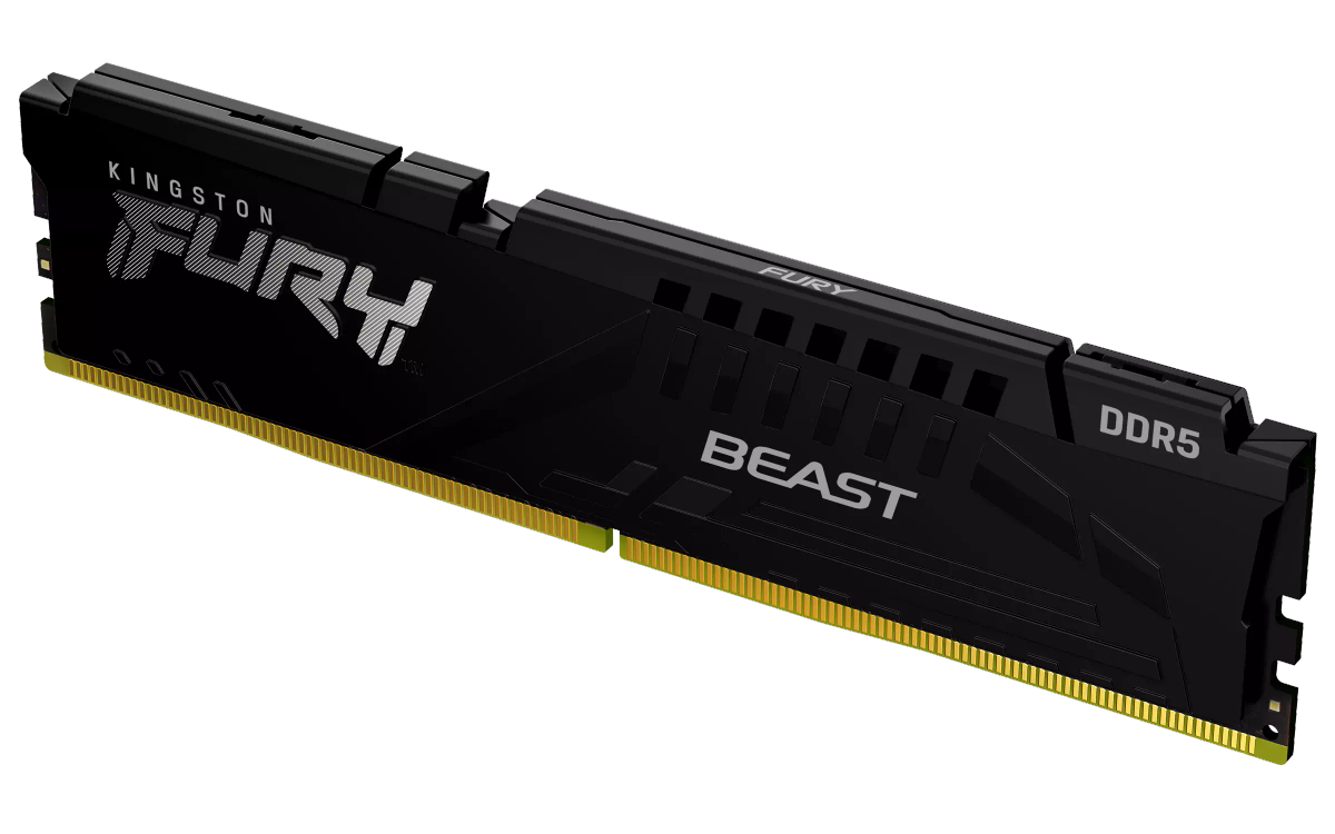 F556C36BBE-16 D5-5600 Beast16