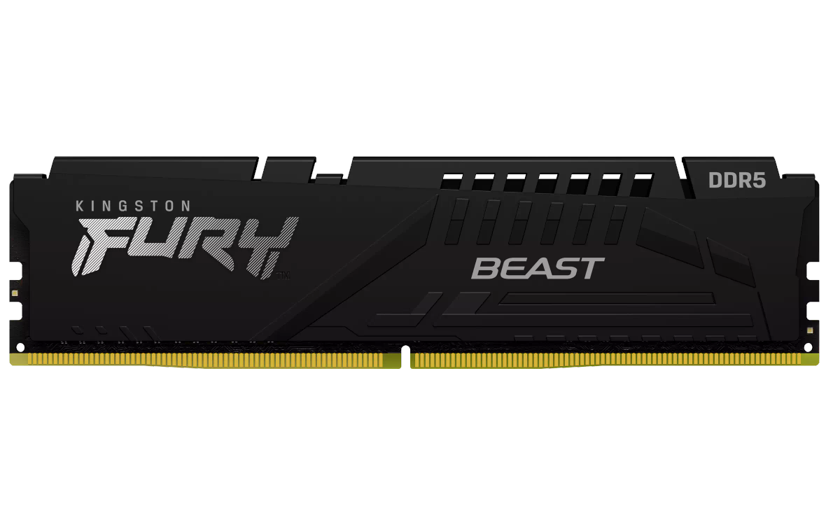 F556C36BBE-16 D5-5600 Beast16