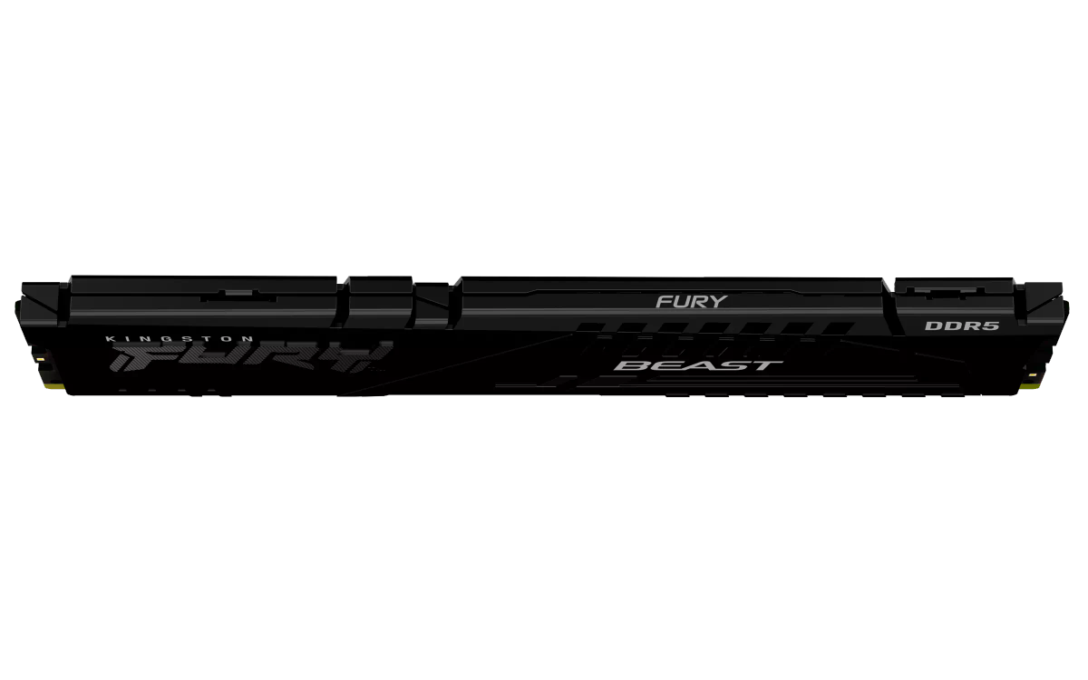 F556C36BBE-16 D5-5600 Beast16