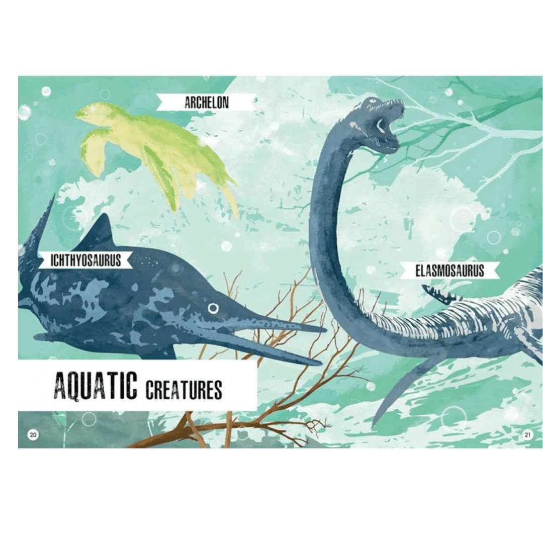 The 3D Stegosaurus Puzzle and Model (Sassi)