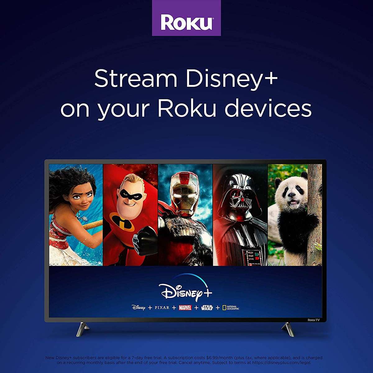 Roku Express HD Streaming Media Player 2019 - 3930R - 268g