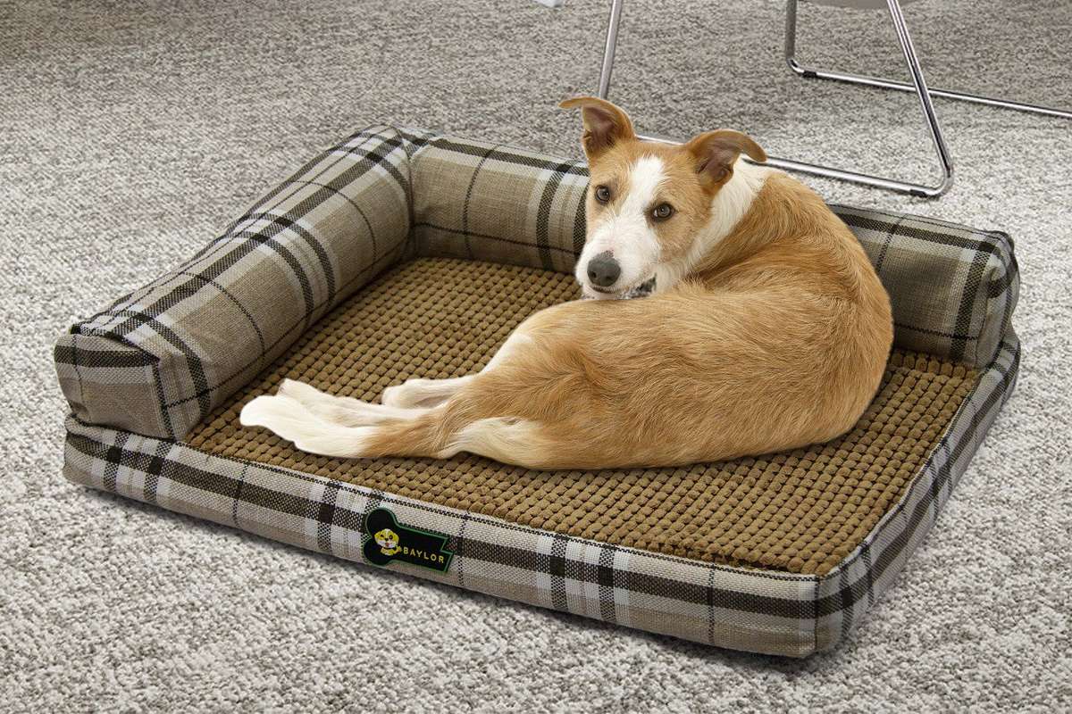 Rex Pet Sofa - Creme