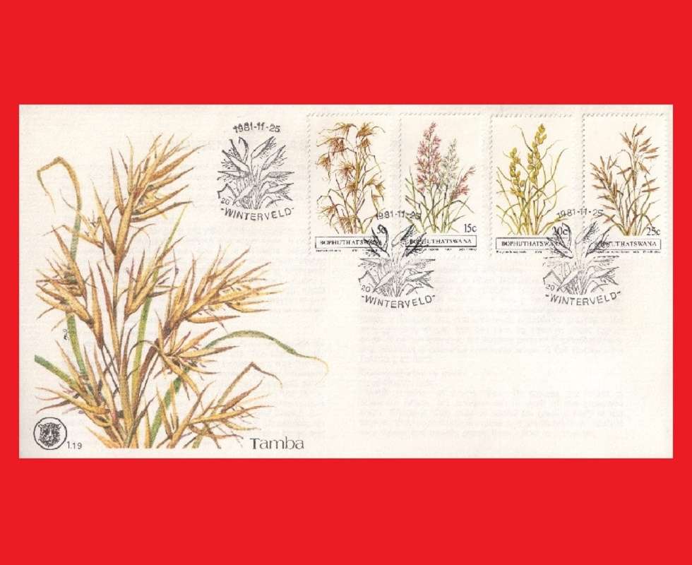 First Day Cover 1981/11/25