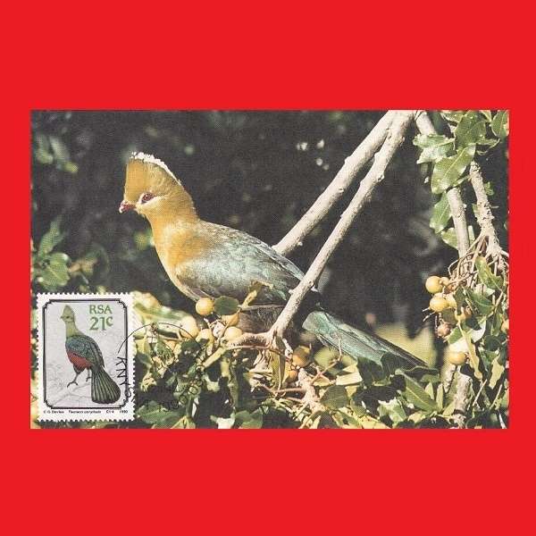 First Day Maxi Card Set 1990/08/02