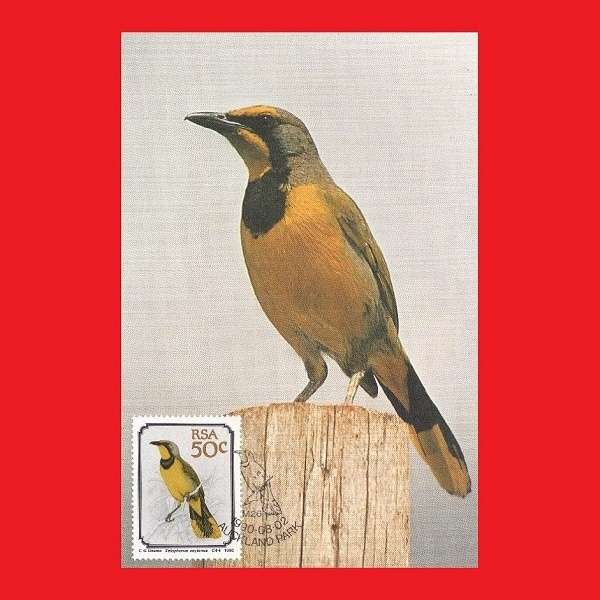 First Day Maxi Card Set 1990/08/02