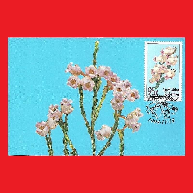 First Day Maxi Card Set 1994/11/18