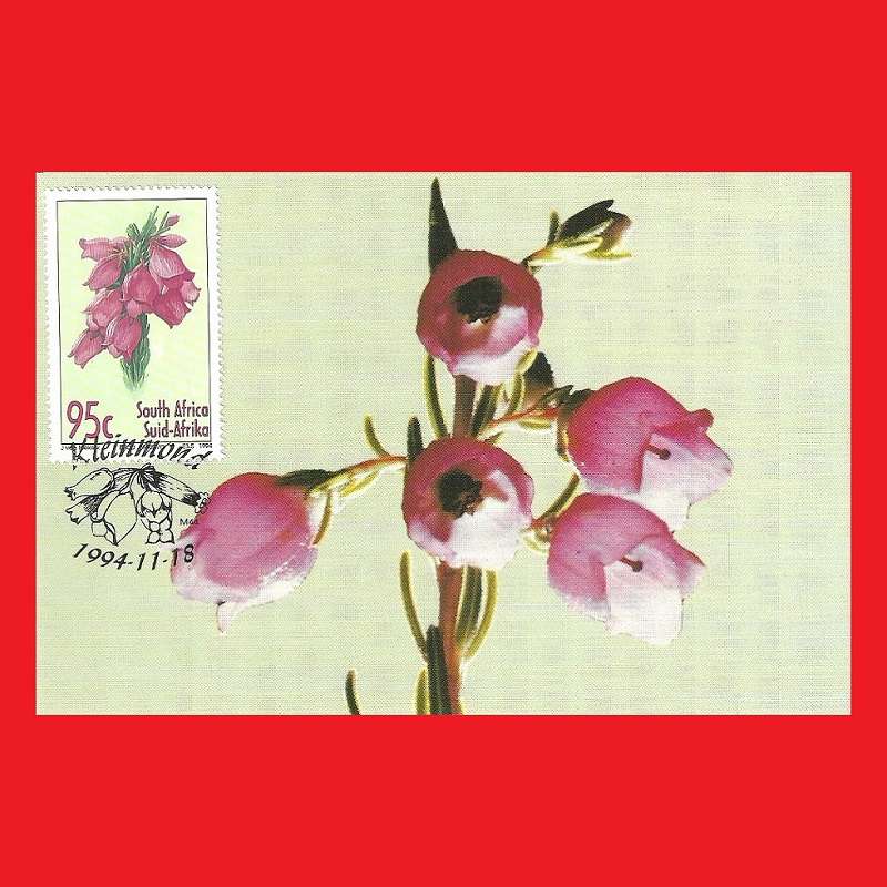 First Day Maxi Card Set 1994/11/18