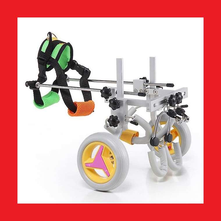 Pet Wheelchair For Disabled Or Old Pets (Small Dogs Or Adult Cats)