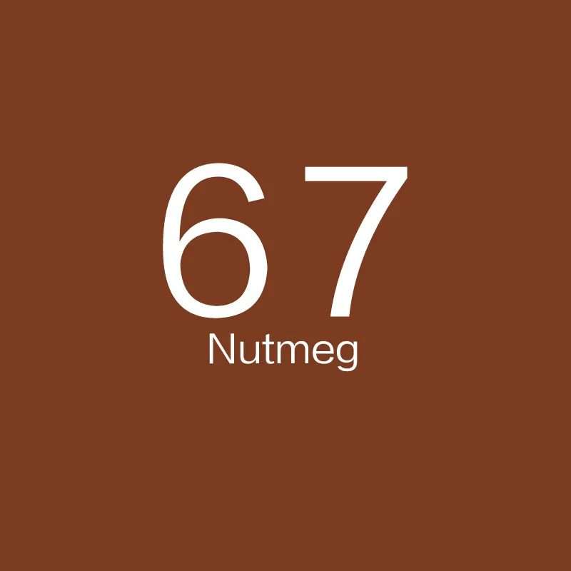 Paper Backdrop Nutmeg (2.7 x 10m)