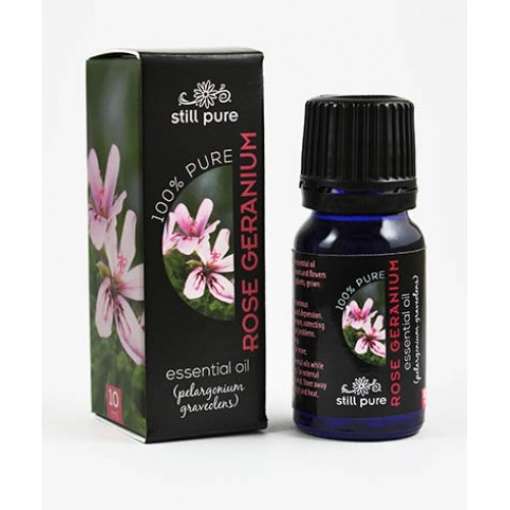 Still Pure Rose Geranium Essential Oil, 10ml