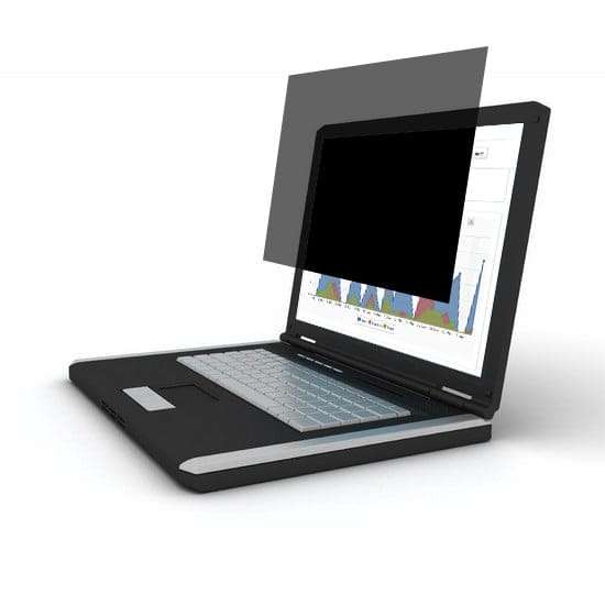 Port Connect 2D Professional Privacy Filter 15.6"