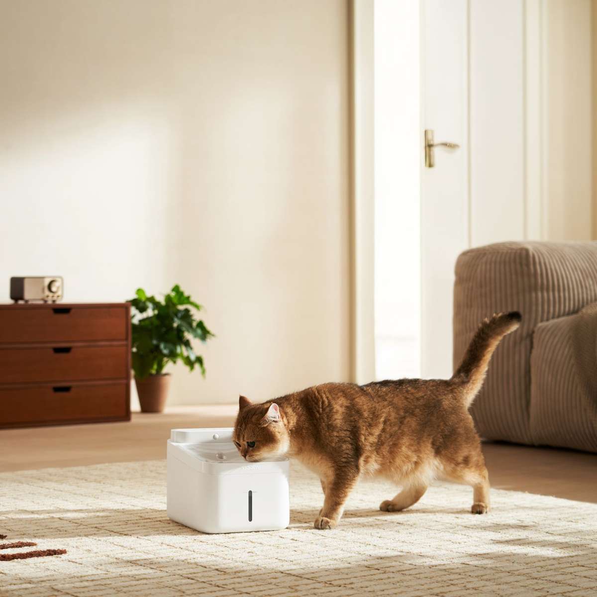 Xiaomi Smart Pet Fountain 2