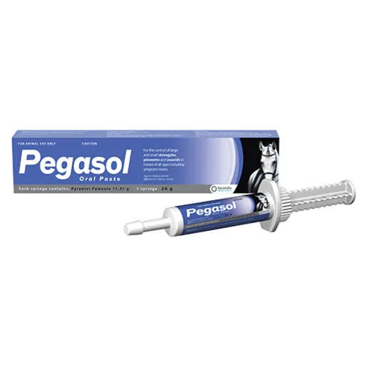 Pegasol 26g Paste