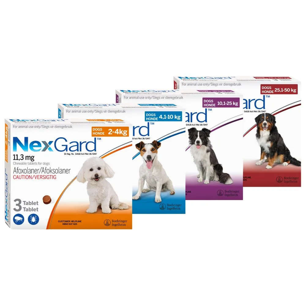 Nexgard Dog