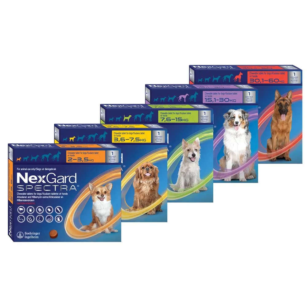Nexgard Spectra chews
