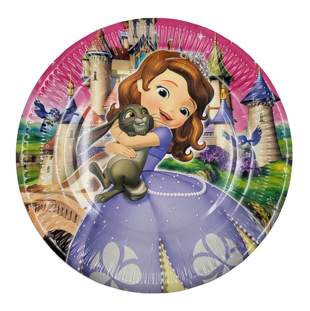 Kids Party Plates pack of 10