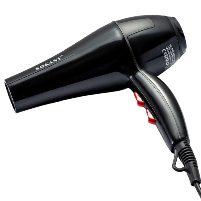 2200W Professional Hair Dryer