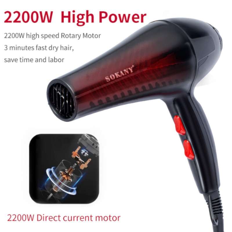 2200W Professional Hair Dryer