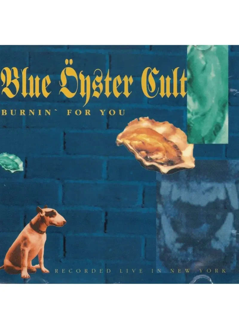Blue Oyster Cult - Burnin for you (CD)