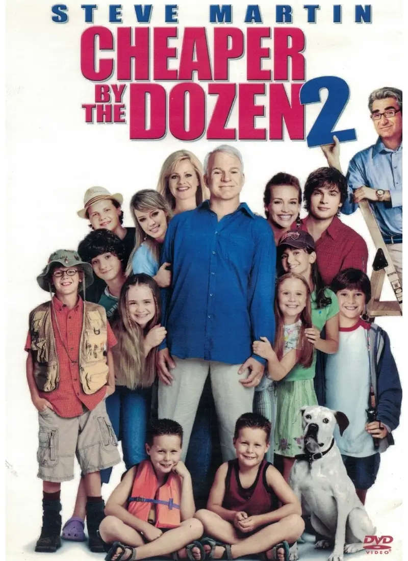 Cheaper by the Dozen 2 (DVD)
