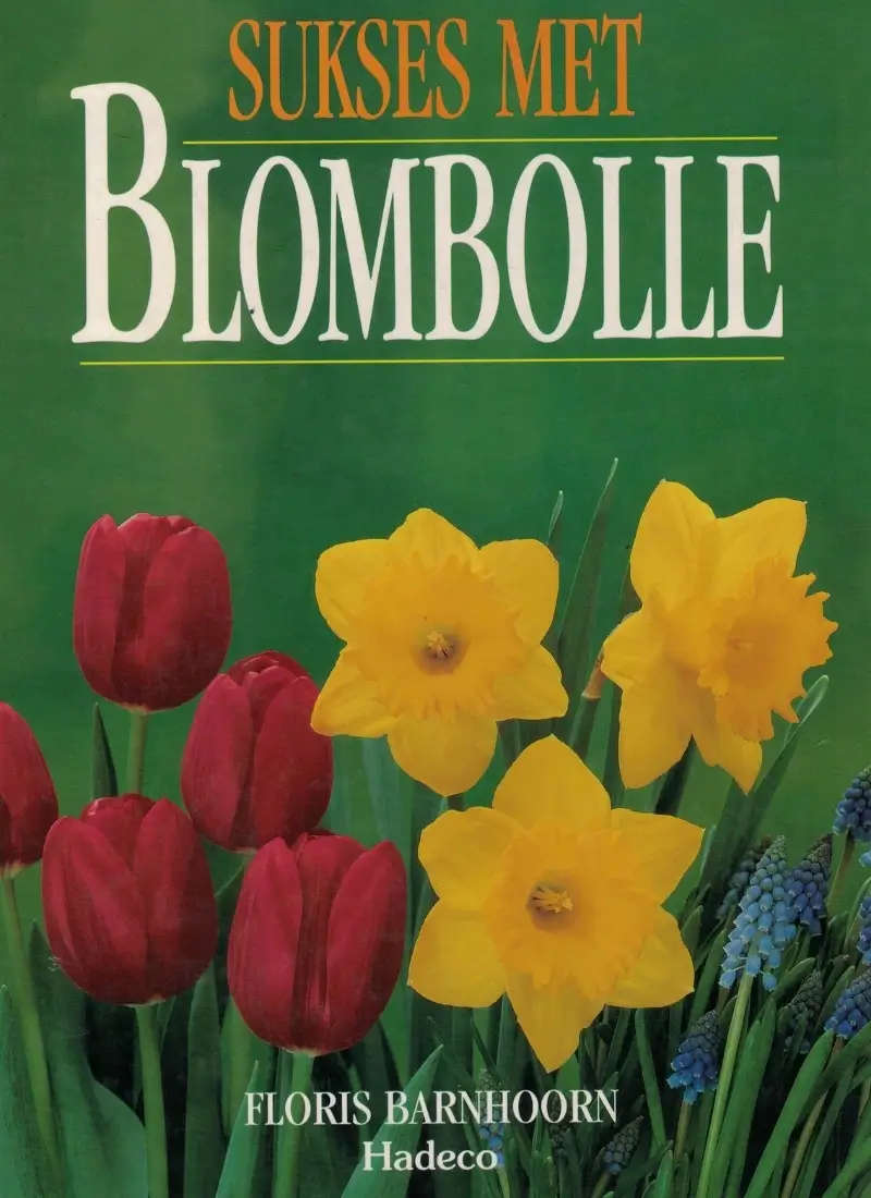 Sukses met blombolle