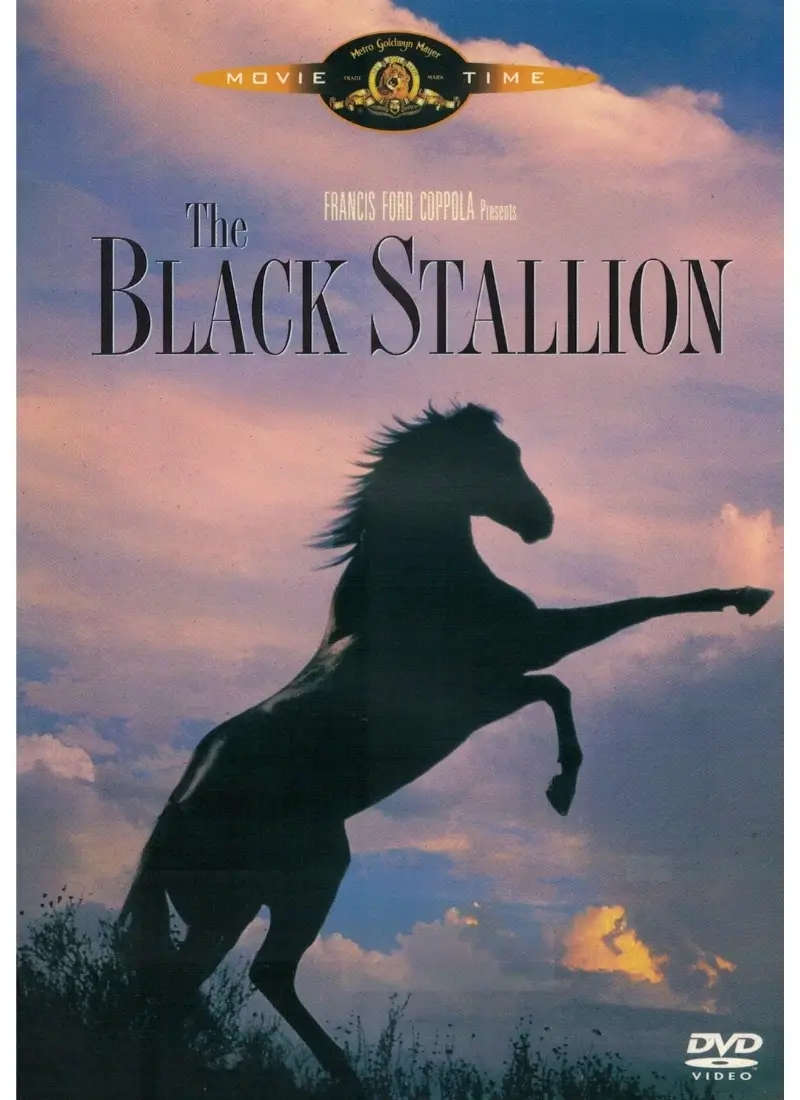 Black Stallion (DVD)