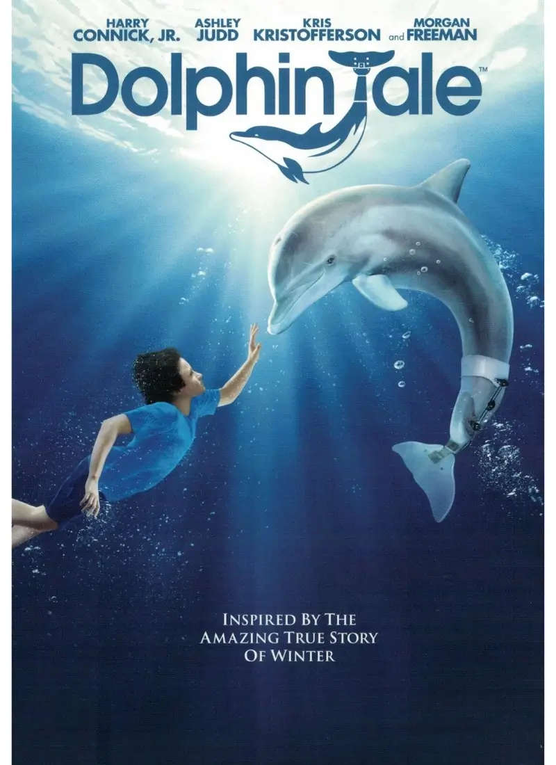 Dolphin Tale (DVD)